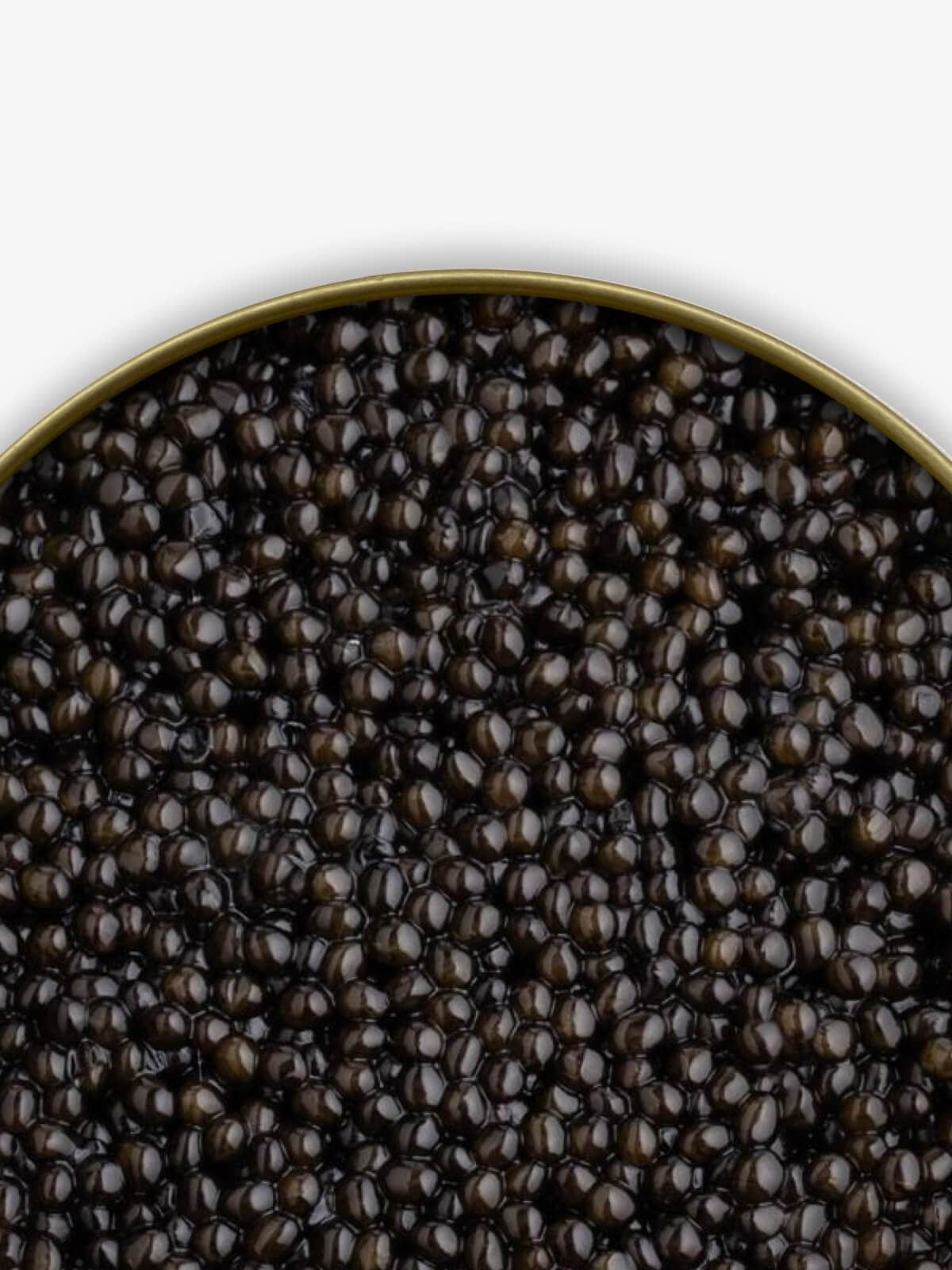 Caviar Skazka āKING GRADEā Beluga Sturgeon Caviar