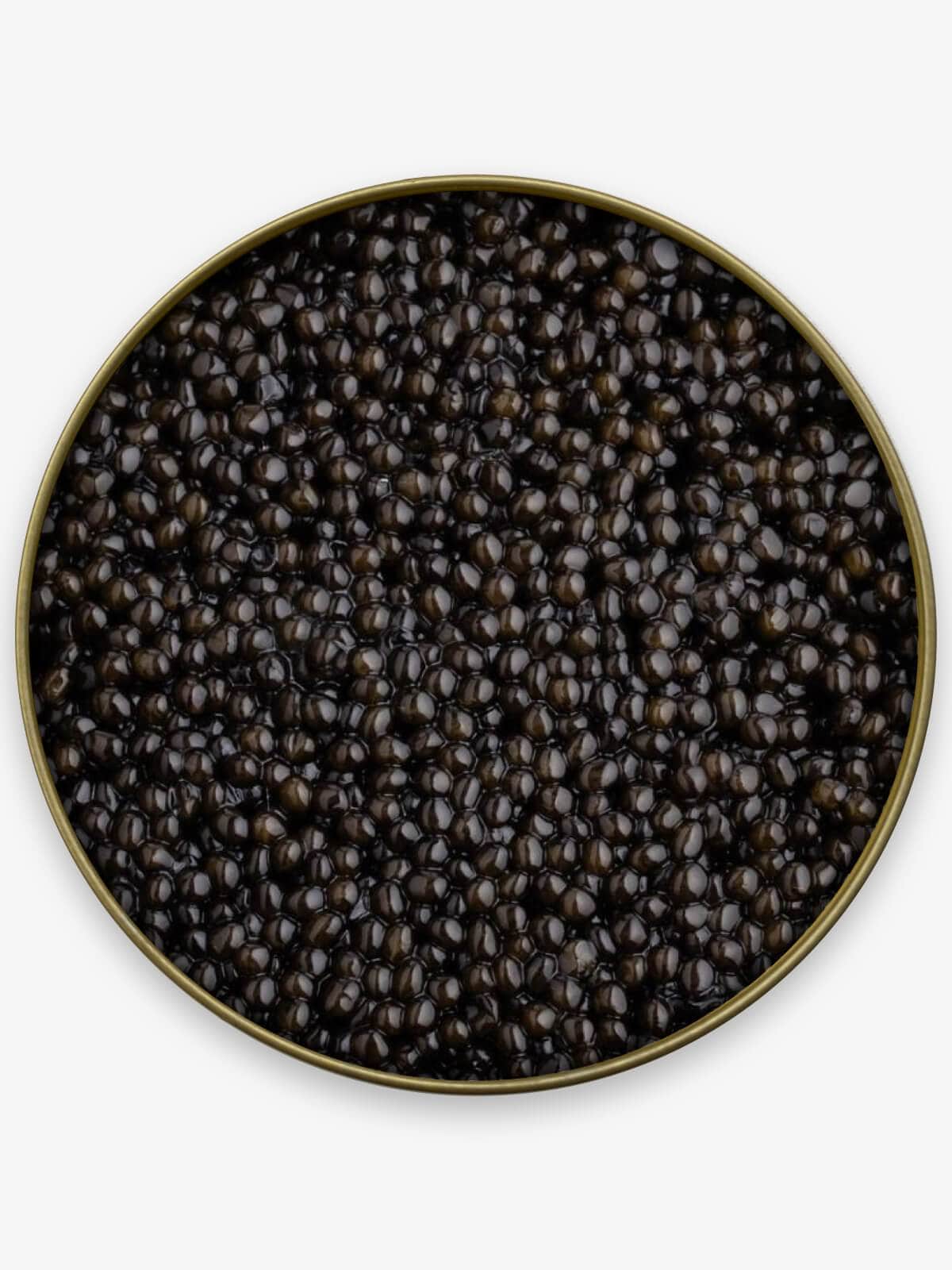 Caviar Skazka "Russian Czar" Beluga Sturgeon Caviar