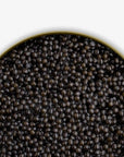 Caviar Skazka "Russian Czar" Beluga Sturgeon Caviar