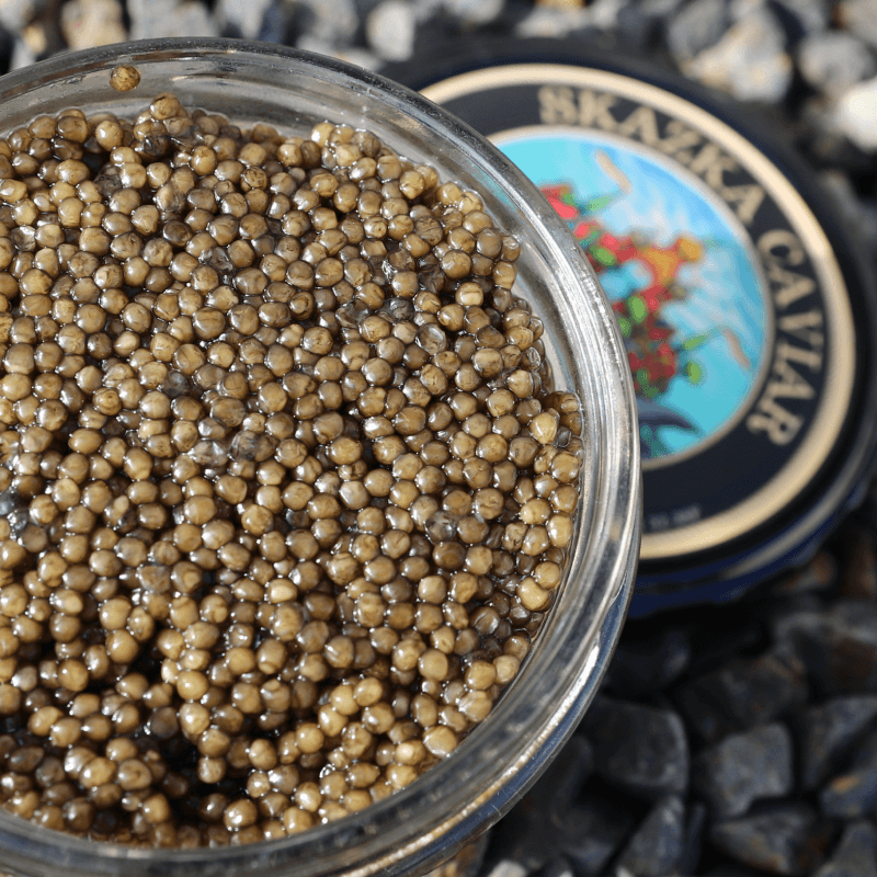 Kaluga Caviar: The Finest Food In The World
