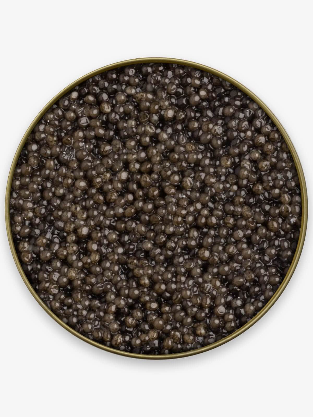 Caviar Skazka American Paddlefish Caviar