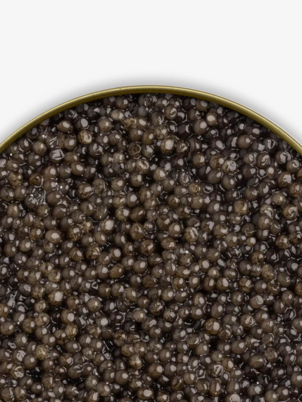 Caviar Skazka American Paddlefish Caviar
