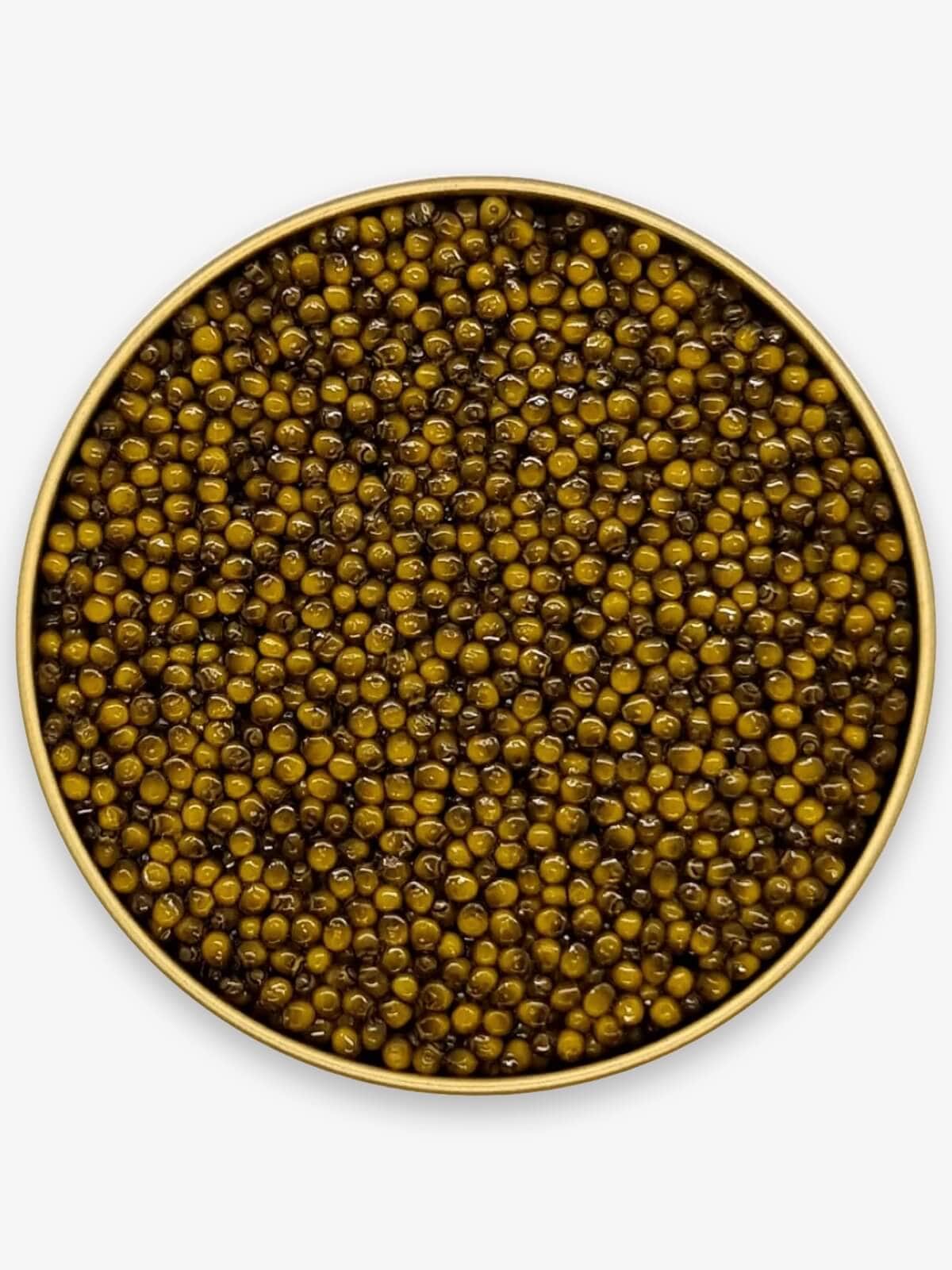 Caviar Skazka “Beluga’s Sister” Amur Sturgeon