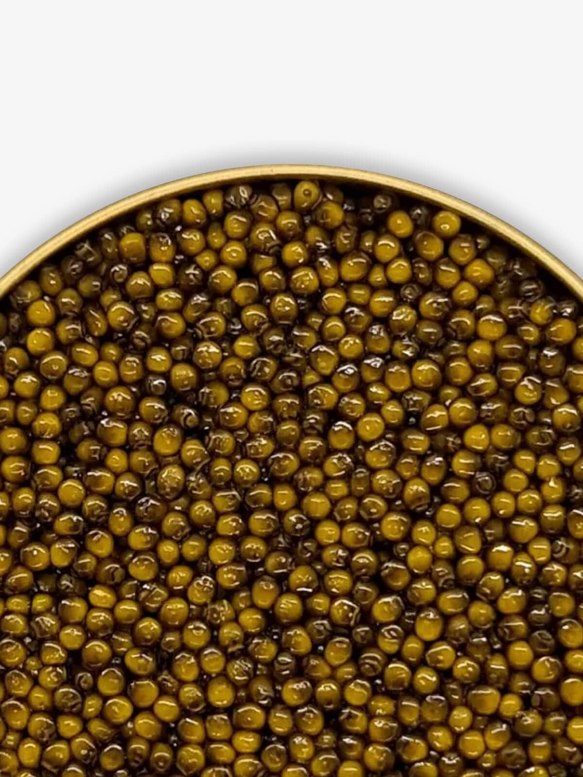 Caviar Skazka “Beluga’s Sister” Amur Sturgeon