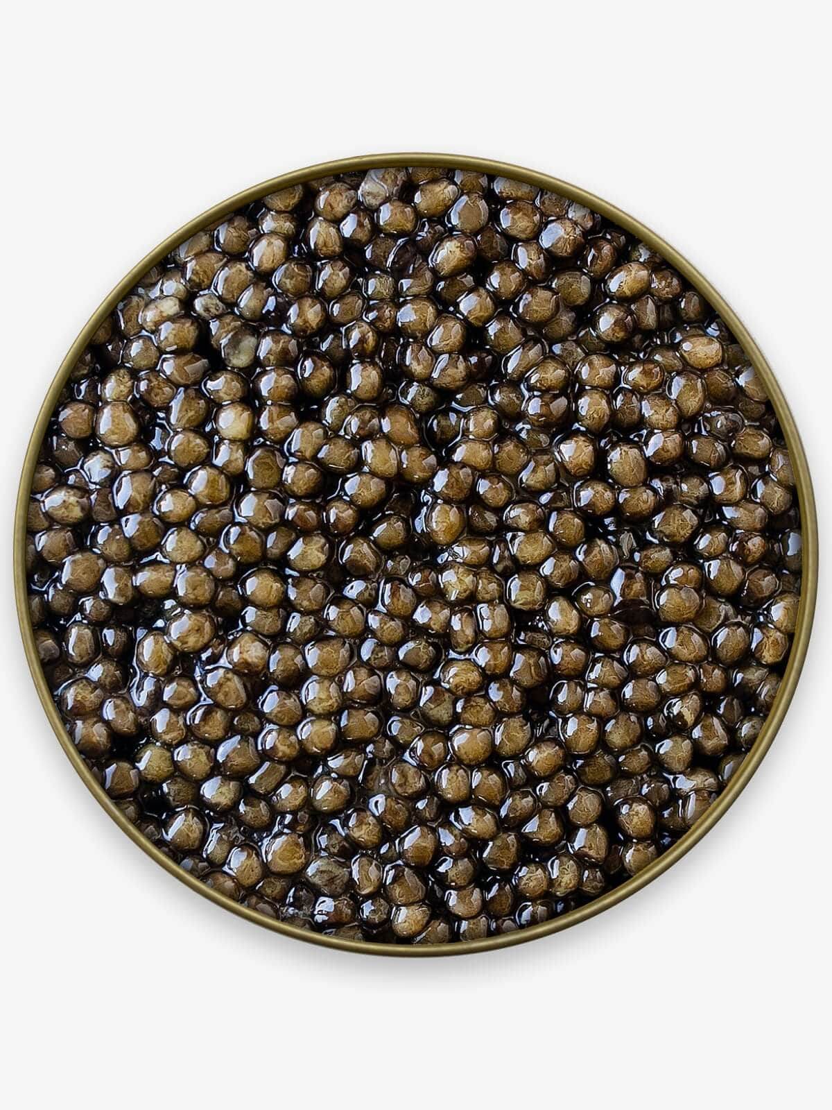 Caviar Skazka Black Caviar Sampler (2oz Kaluga + 2oz Osetra)