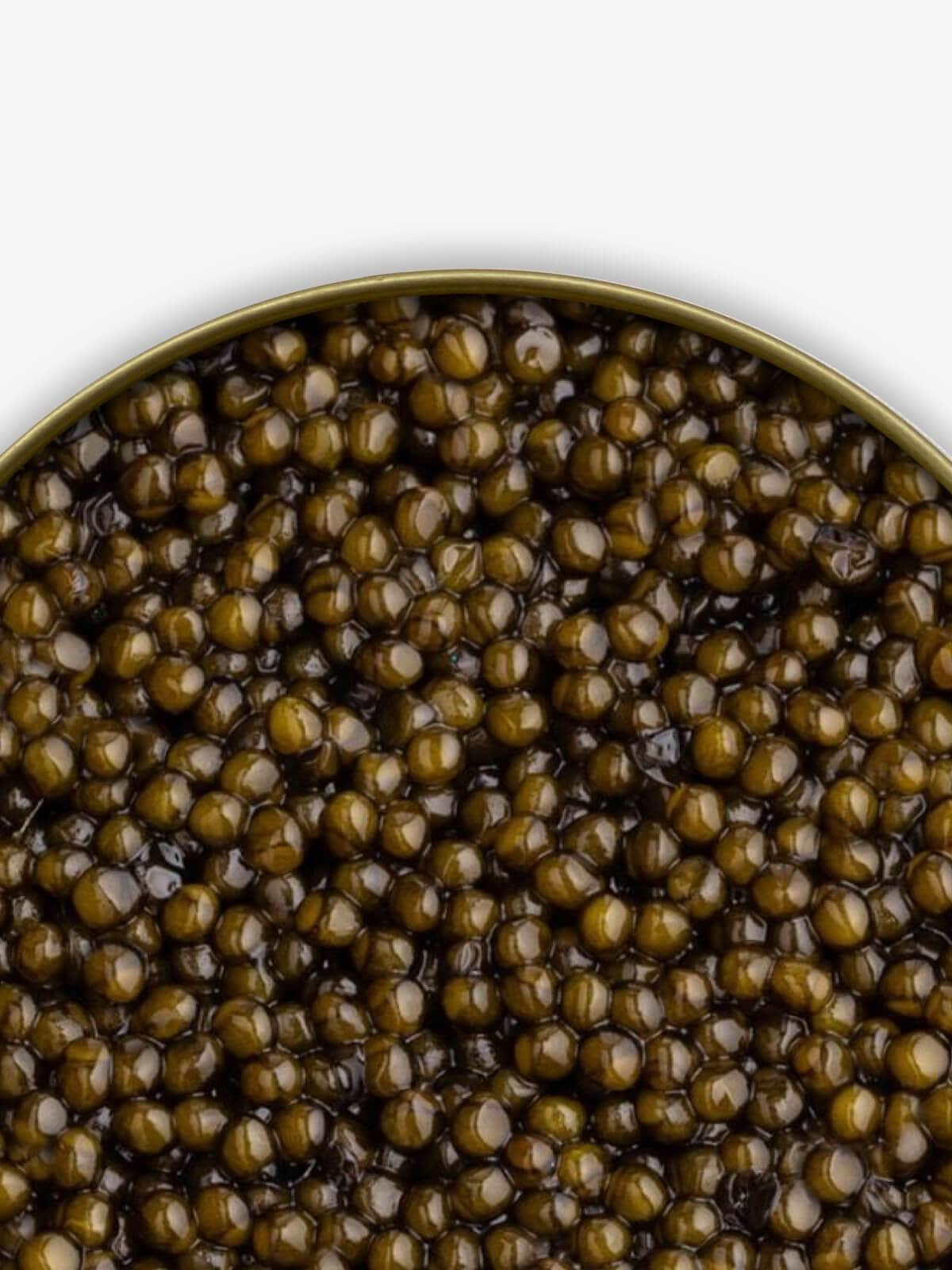 Caviar Skazka “River Beluga” Kaluga Sturgeon Caviar