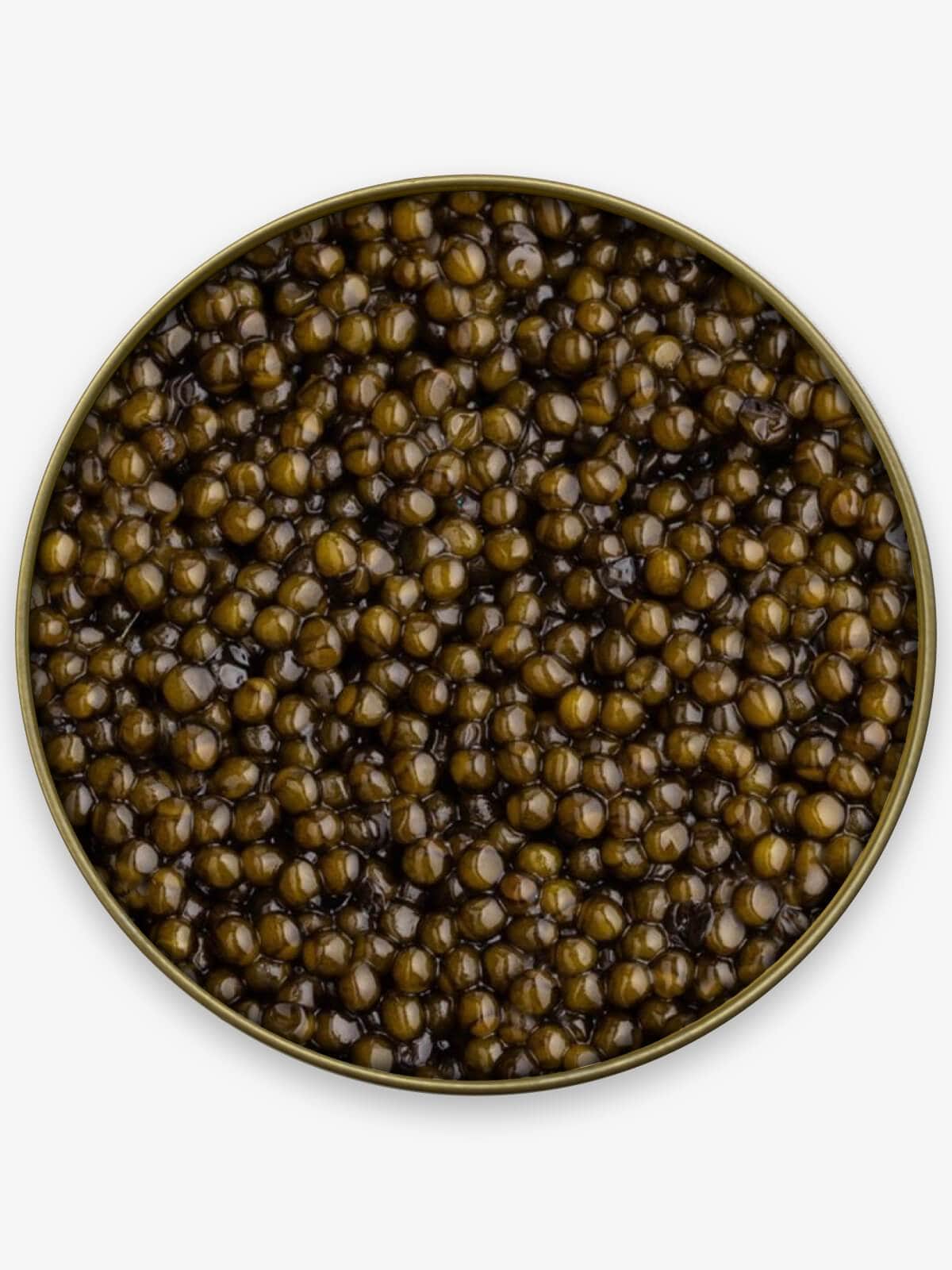 Caviar Skazka “River Beluga” Kaluga Sturgeon Caviar