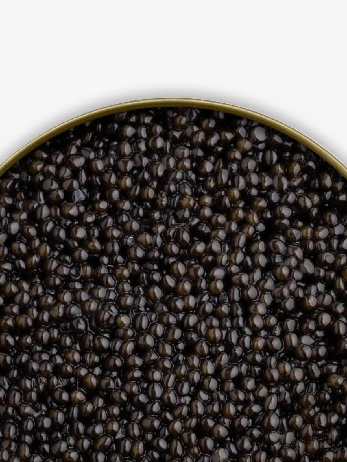 Caviar Skazka &quot;Russian Czar&quot; Beluga Sturgeon Caviar