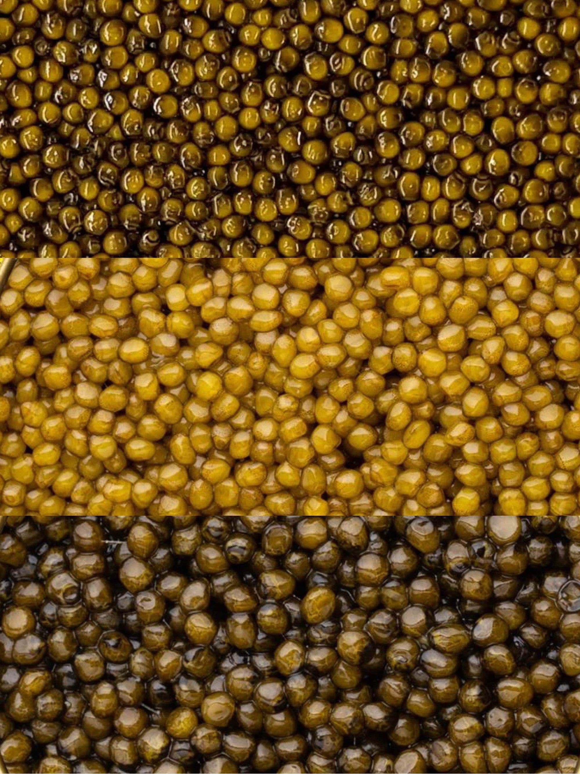 Caviar Skazka Seafood > Gourmet > Caviar Gift Set Caviar Sampler