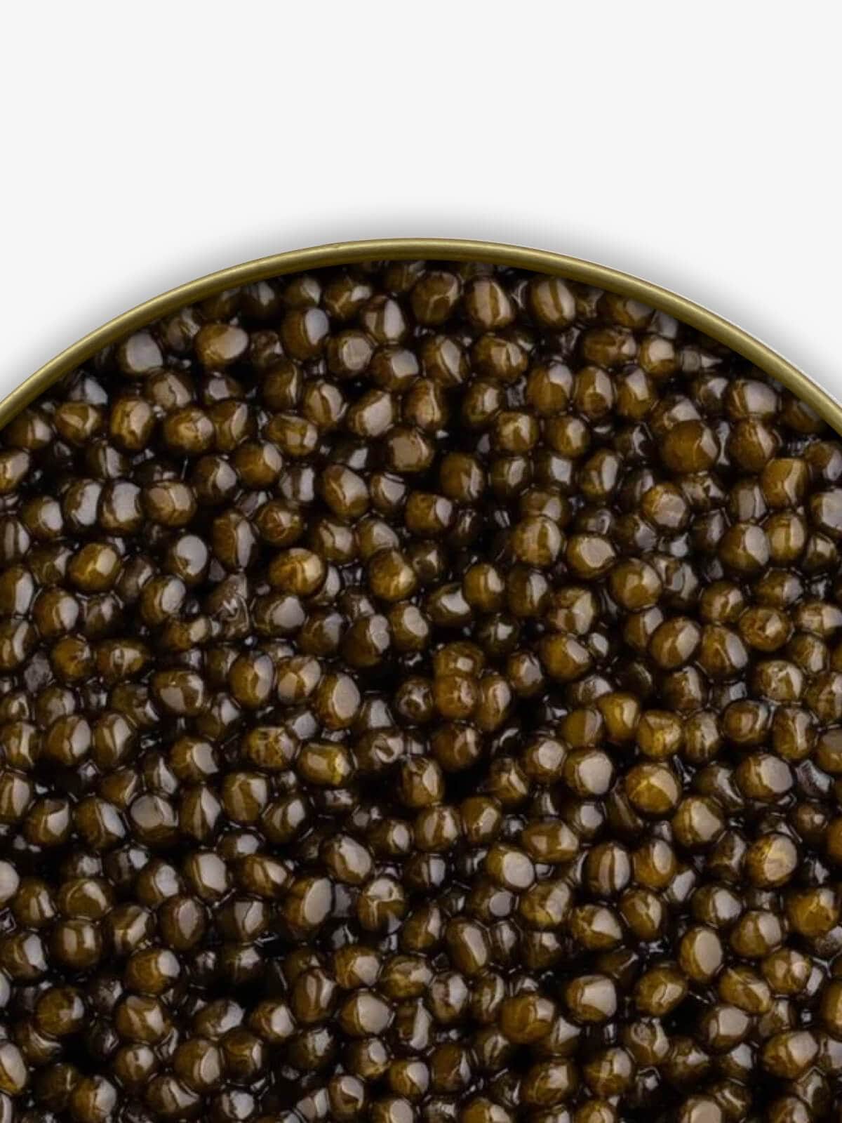 Caviar Skazka Seafood > Gourmet > Caviar “Oprah’s Favorite” Russian Osetra Caviar
