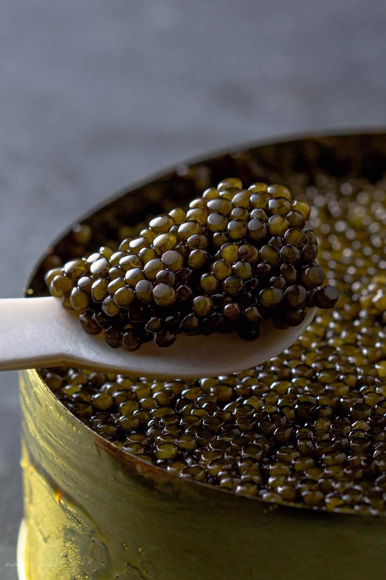 Caviar Skazka Seafood > Gourmet > Caviar “Oprah’s Favorite” Russian Osetra Caviar