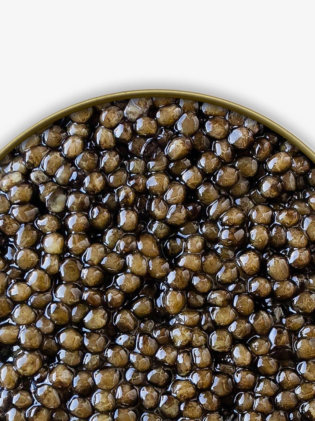 Caviar Skazka Seafood > Gourmet > Caviar “Traditional Russian” Siberian Sturgeon Caviar