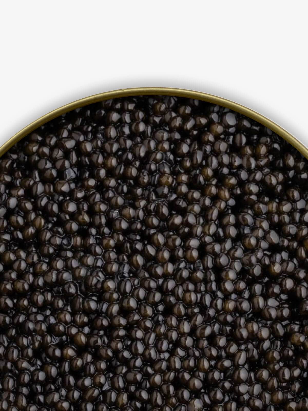 "Russian Czar" Beluga Sturgeon Caviar - Caviar Skazka