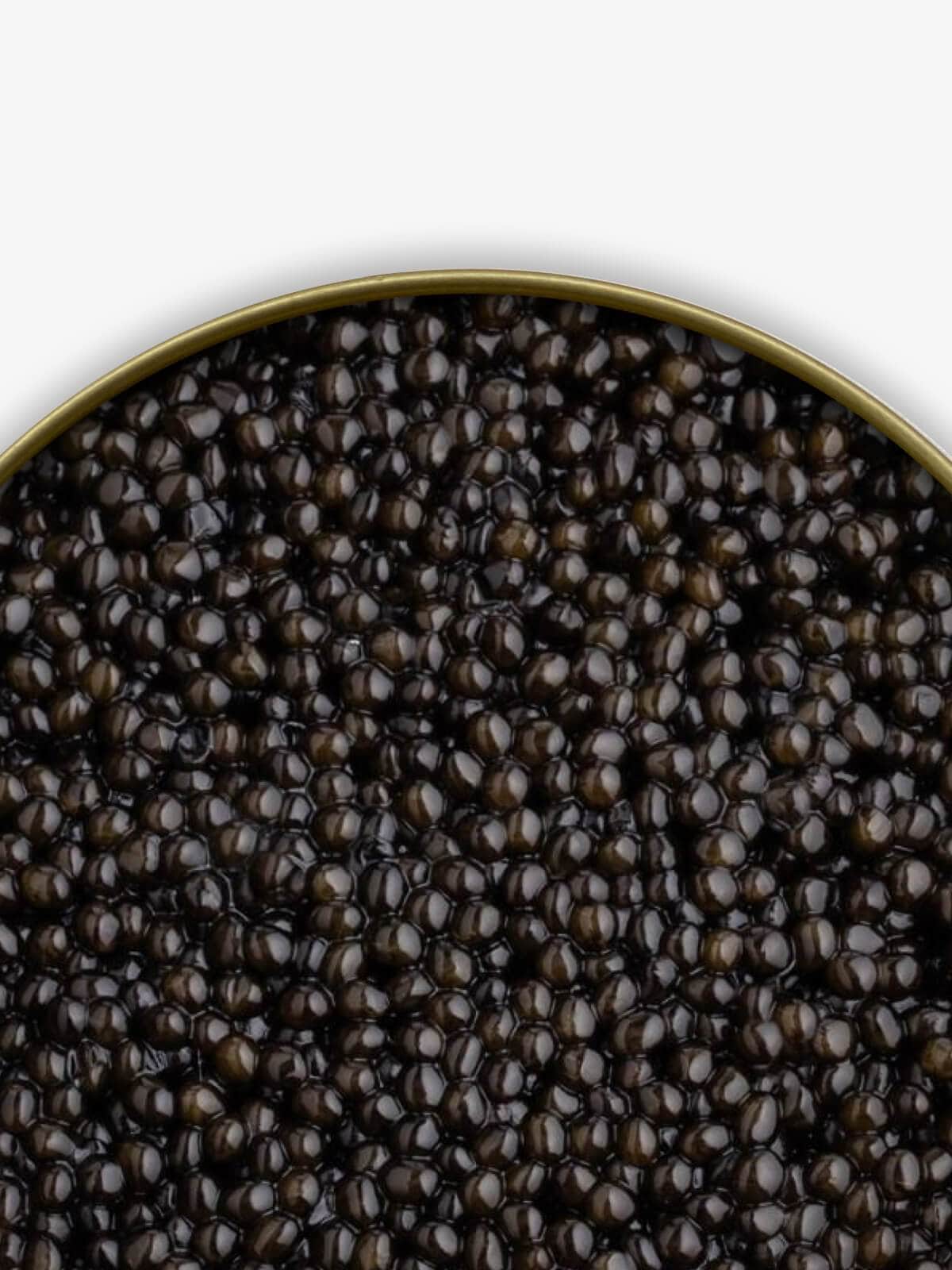 “KING GRADE” Beluga Sturgeon Caviar - Caviar Skazka