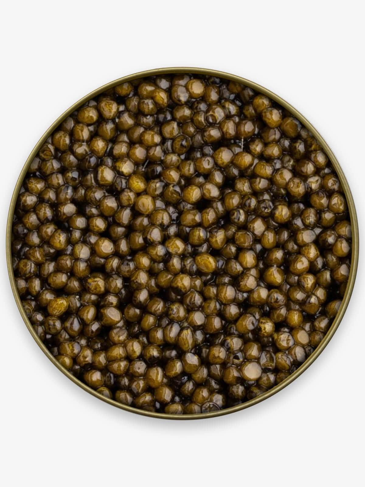 Kaluga Sturgeon Caviar - Golden “HUSO” (River Beluga) - Caviar Skazka