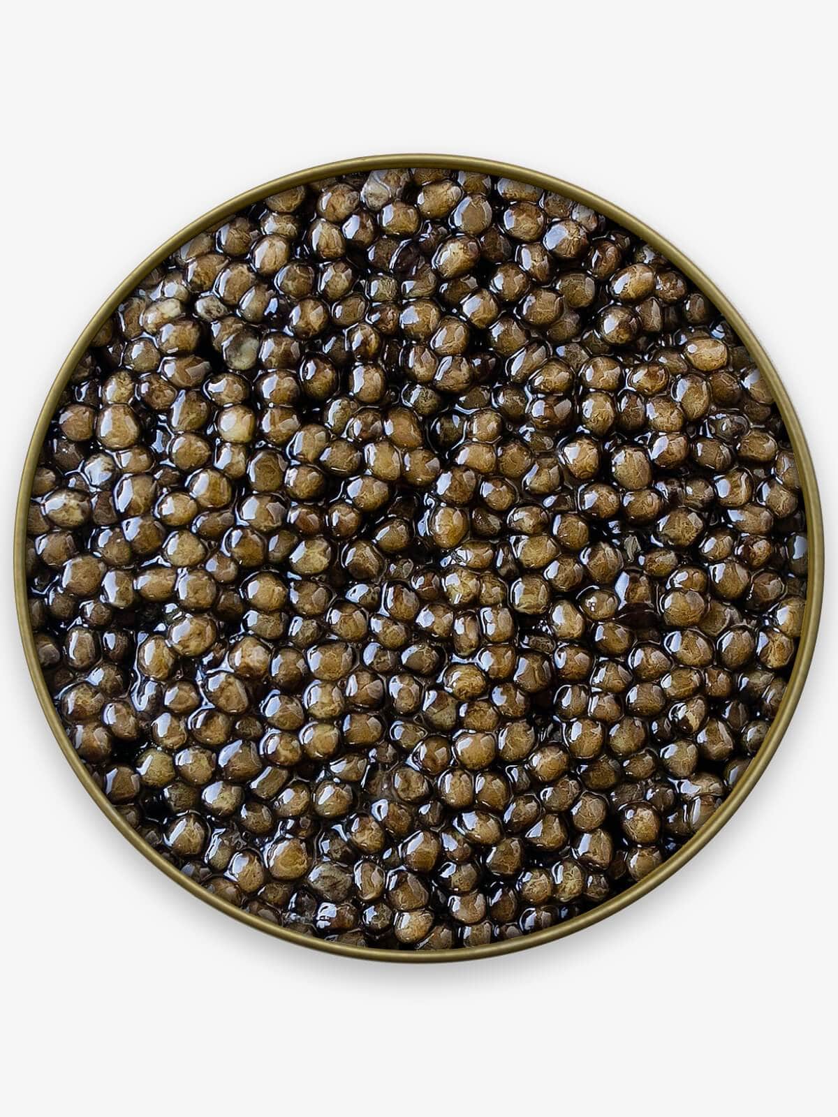 Caviar Sampler (2oz Kaluga + 2oz Siberian + 4oz Salmon) - Caviar Skazka